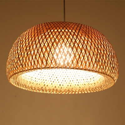 Dome Shape Hanging Pendant Light 1-Bulb Pendant Lighting