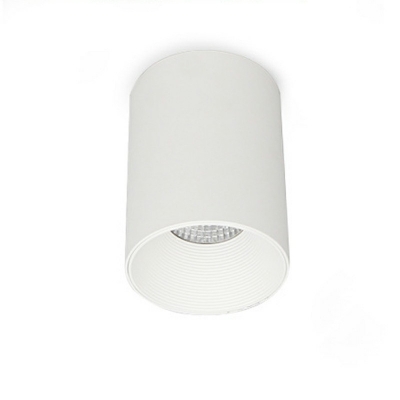 Modern Style Drum Flush Ceiling Light Metal 1-Light Flush Mount Lights in White