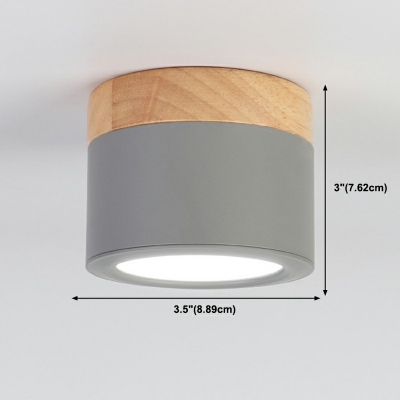1 Light Cylindrical Ceiling Mount Light Modern Style Flush Mount Ceiling Lamp