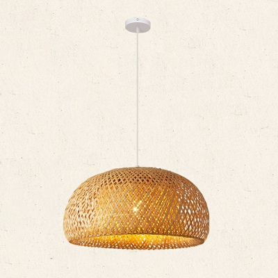 Ceiling Hanging Dome Shape Single Bulb Suspension Pendant Light for Bedroom