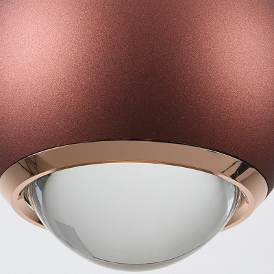 1-Light Sphere Pendant Lights Contemporary Warm Light Metal Pendant Ceiling Lights