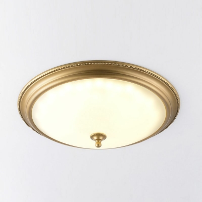 Traditional Ceiling Lights with Opal White Glass Shade LED Ceiling Lamp