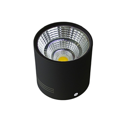 1 Light Cylinder Flush Mount Light Modern Style Metal Flush Mount Ceiling Light Fixtures in Black