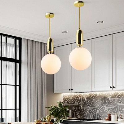 1-Light Drop Pendant Contemporary Style Globe Shape Metal Hanging Ceiling Lights