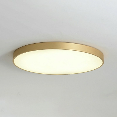 1 Light Led Flush Ceiling Lights Traditional Style Acrylic Led Flush Light for Dining Room