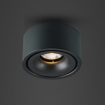 Rounded Flush Mount Light Modern Style Metal 1-Light Flush Light Fixtures in Black