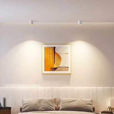 Cylinder Flush Mount Ceiling Light Fixtures Modern Minimalism Ceiling Light Fixtures for Living Room
