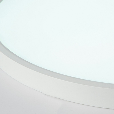 Contemporary Round Flush Mount Ceiling Light for Living Room