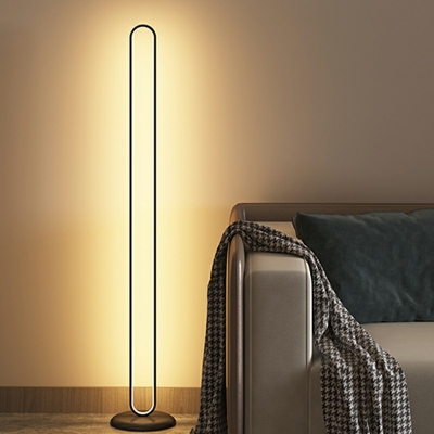 1-Light Floor Lamps Contemporary Style Oval Shape Metal Remote Control Stepless Dimming Stand Up Lamp