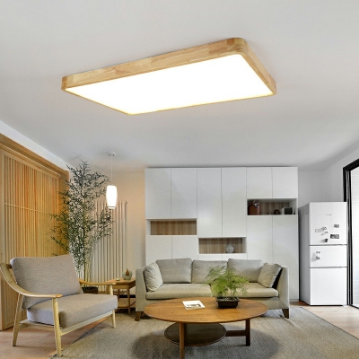 Flush Mount Lighting Modern Style Acrylic Flush Light Fixtures for Living Room