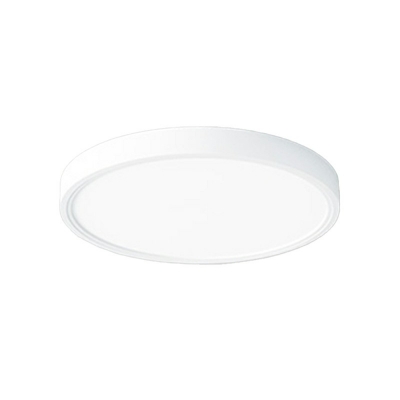 White Round Flush Ceiling Light Modern Led Lighting for Living Room