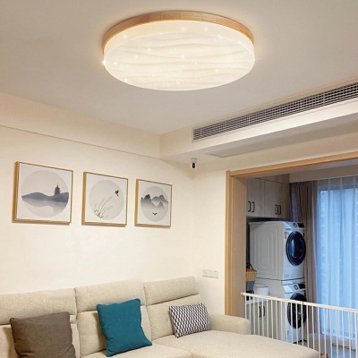 Flush Ceiling Light Modern Style Acrylic Flush Light Fixtures for Living Room