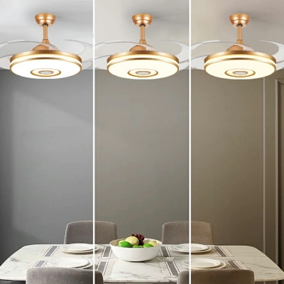 Metal Ceiling Fans Modern Chandelier Lighting Fixtures for Living Room