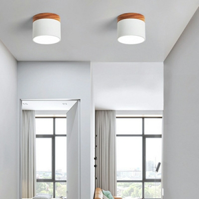 Flush Mount Light Modern Style Metal Flush Light Fixtures for Living Room
