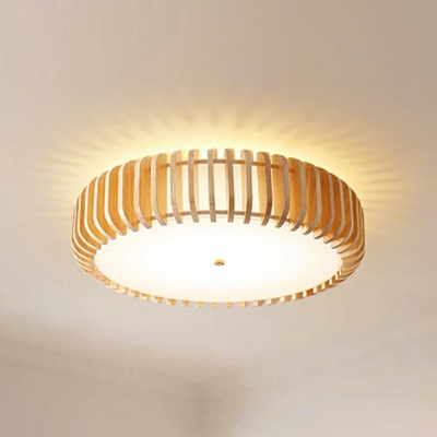 Flush Light Fixtures Modern Style Acrylic Flush Mount Lamps for Living Room