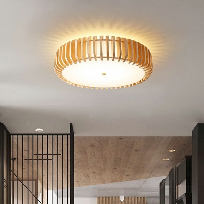 Flush Light Fixtures Modern Style Acrylic Flush Mount Lamps for Living Room