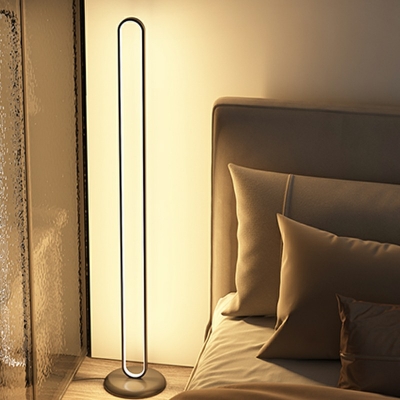 1-Light Floor Lamps Contemporary Style Oval Shape Metal Remote Control Stepless Dimming Stand Up Lamp