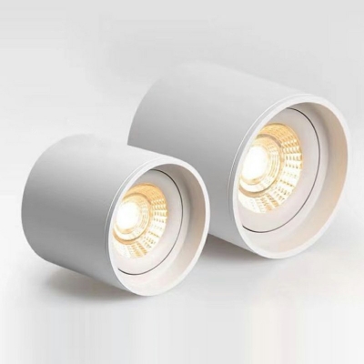 Cylinder Flush Mount Ceiling Light Fixtures Modern Minimalism Ceiling Light Fixtures for Living Room
