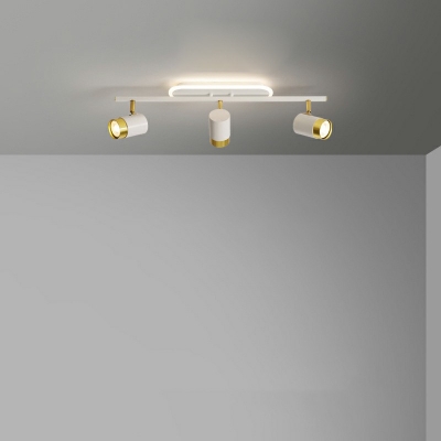 Contemporary Cylinder Flush Lighting Metal Third Gear Flush Mount Lamp for Living Room
