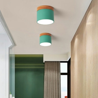 Flush Mount Light Modern Style Metal Flush Light Fixtures for Living Room