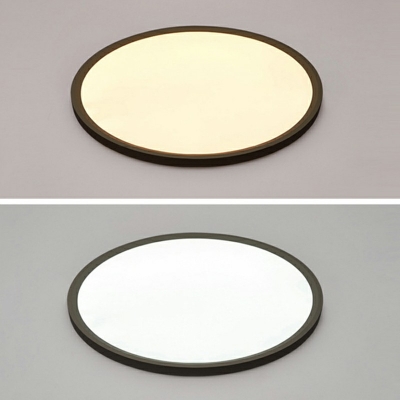 1-Light Flush Light Fixtures Minimalist Style Round Shape Metal Ceiling Mount Chandelier