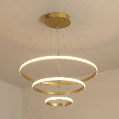 3-Light Hanging Lamps Modernist Style Ring Shape Metal Chandelier Light Fixture