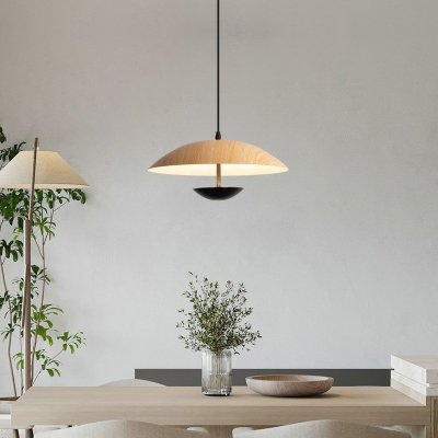 Metal LED Hanging Ceiling Lights Nordic Style Modern Down Lighting Pendant for Living Room