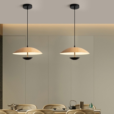 Metal LED Hanging Ceiling Lights Nordic Style Modern Down Lighting Pendant for Living Room