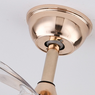 Modern Acrylic Ceiling Fan Lighting LED Light for Living Room