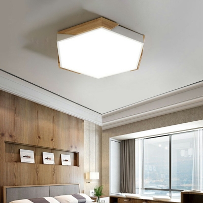 Modern Living Room Flush Mount Light Led Ceiling Mounted Light