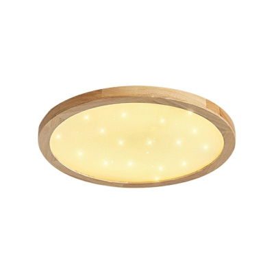 Contemporary Ring Flush Mount Ceiling Light Fixtures Wood Ceiling Mounted Light