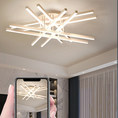 Contemporary Style Ceiling Light Sputnik Ceiling Fixture for Living Room