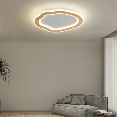 1 Light Contemporary Ceiling Light Cloud Shaped Acrylic Ceiling Fixture