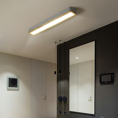Contemporary LED Ceiling Mounted Light Living Room Flush Mount Light