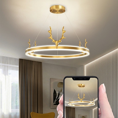 Contemporary Gold Chandelier Lamp Metal Ring Shaped Chandelier Light