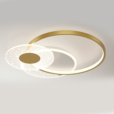Contemporary LED Flushmount Lighting Circular Light for Living Room