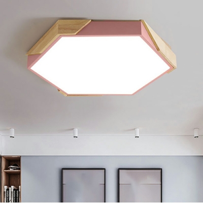 Modern Living Room Flush Mount Light Led Ceiling Mounted Light