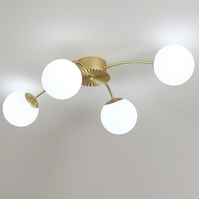 Contemporary Style Ceiling Light Glass Globe Shaped Ceiling Fixture