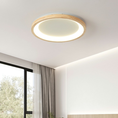 Modern LED Ceiling Mounted Light Living Room Flush Mount Light