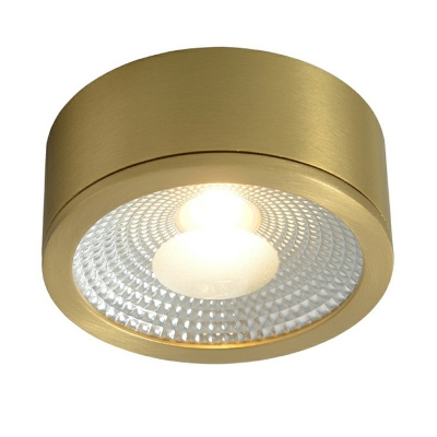 1-Light Flush Light Fixtures Contemporary Style Cylinder Shape Metal Ceiling Mount Chandelier