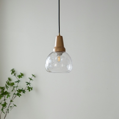 Contemporary Pendant Lighting Clear Glass Wooden Hanging Lamp