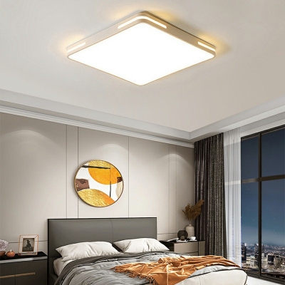 Flush Mount Lighting Modern Style Acrylic Flushmount for Living Room Remote Control Intelligence