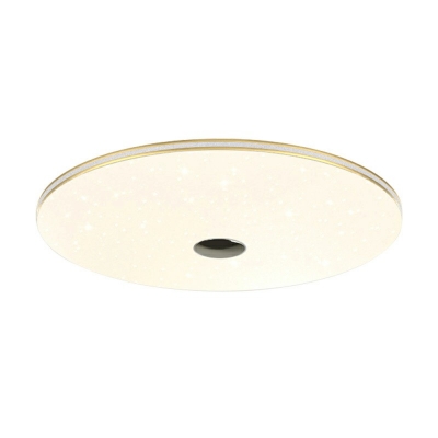 Flush Mount Lighting Contemporary Style Acrylic Flushmount for Living Room Remote Control Intelligence