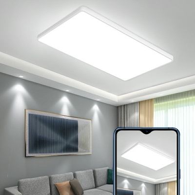 Flushmount Modern Style Acrylic Flush Mount Light for Living Room Remote Control Intelligence