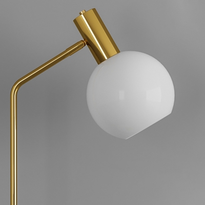 1-Light Floor Lights Contemporary Style Globe Shape Metal Standing Lamp
