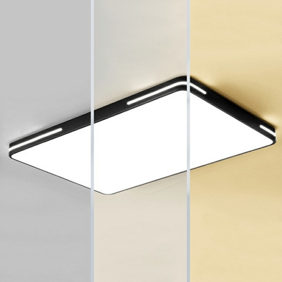 Flushmount Modern Style Acrylic Flush Mount Lamps for Living Room Remote Control Intelligence