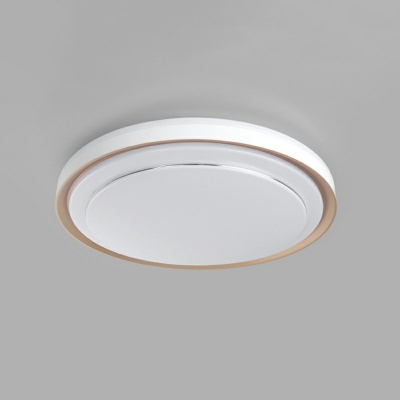 Flush Mount Ceiling Light Modern Style Acrylic Flush Light for Living Room Remote Control Intelligence