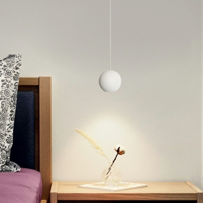 Globe Shape Hanging Ceiling Light LED Metal Down Lighting Pendant