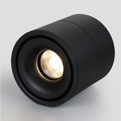 LED White/Black Round Flushmount Lighting Dining Room Flush Mount Lighting Fixtures