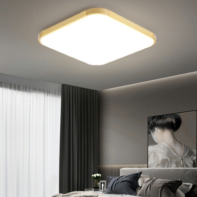 Flush Mount Ceiling Light Modern Style Acrylic Flush Mount for Living Room Remote Control Intelligence